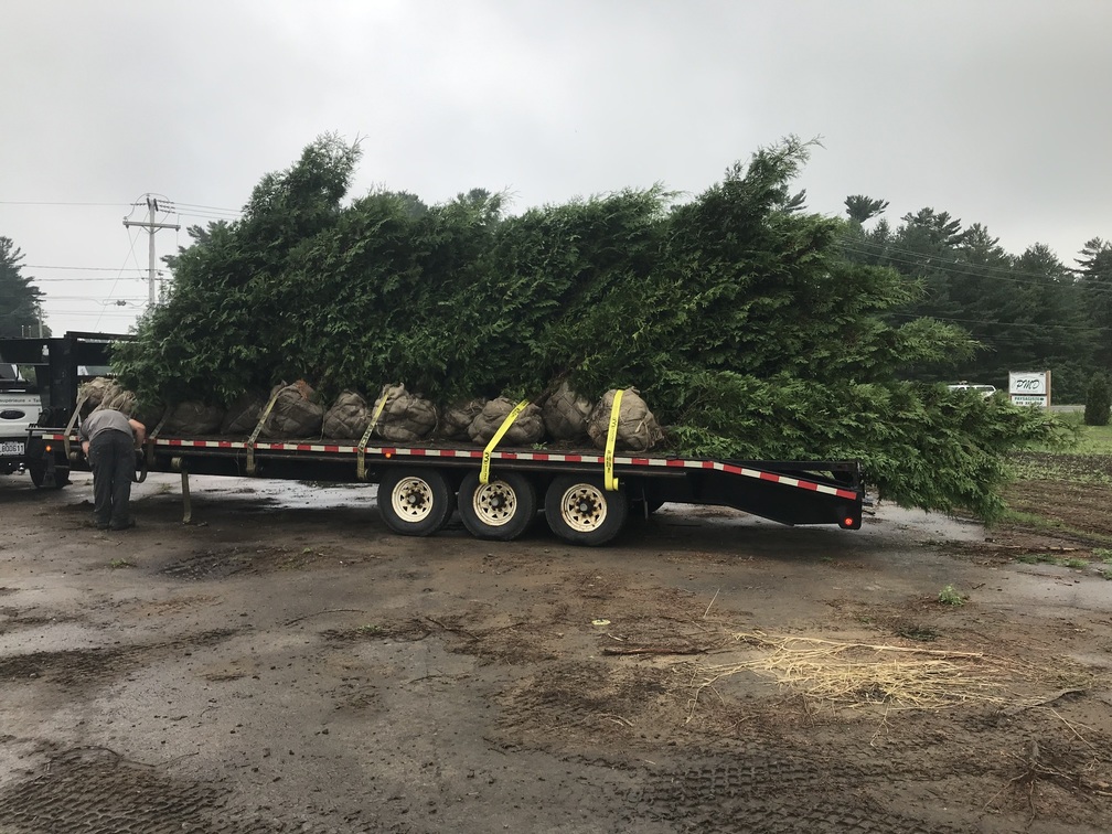 Commande d'un client